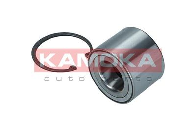 Wheel Bearing Kit 5600171