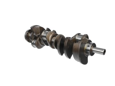 ARBORE COTIT ET ENGINETEAM HK0218 20