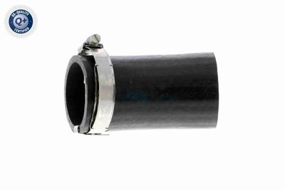 FURTUN EAR SUPRAALIMENTARE VAICO V103803 1