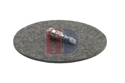 REGELVENTIL KOMPRESSOR AKS DASIS 859025N 8