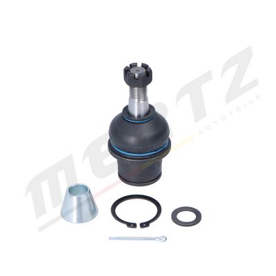 Trag-/Führungsgelenk