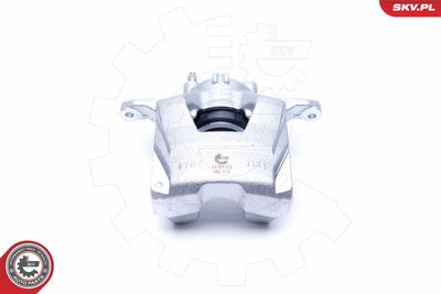 Brake Caliper 44SKV222