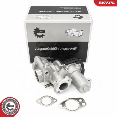 AGR-Ventil SKV 14SKV253