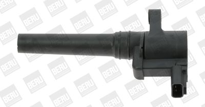 BorgWarner (BERU) Zündspule