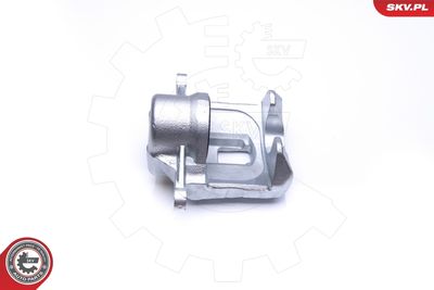 Brake Caliper 45SKV172