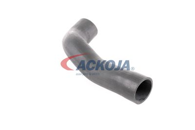 FURTUN EAR SUPRAALIMENTARE ACKOJA A379600 44