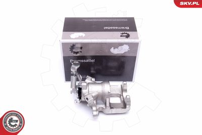 Brake Caliper 50SKV104