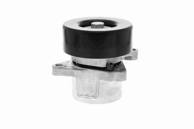 INTINZATOR CUREA CUREA DISTRIBUTIE ACKOJA A380332 7