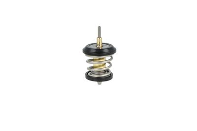 TERMOSTAT LICHID RACIRE NRF 725250 42