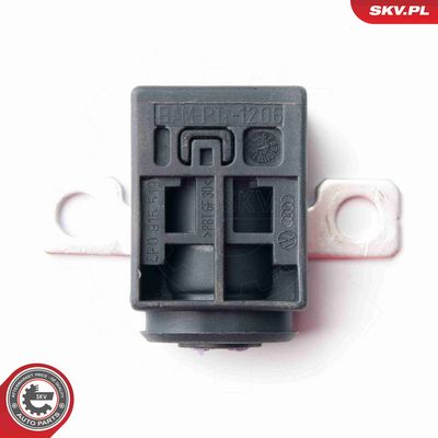 PROTECTIE LA SUPRATENSIUNE ALTERNATOR ESEN SKV 96SKV004 2