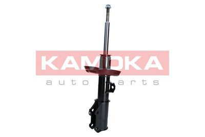 Shock Absorber 2000049