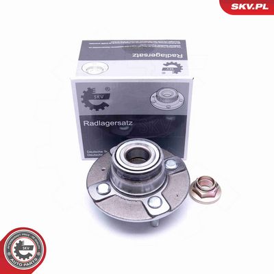 SET RULMENT ROATA ESEN SKV 29SKV204