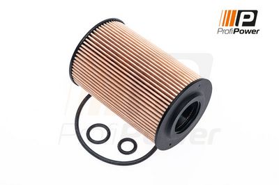 alyvos filtras 1F0008 ProfiPower