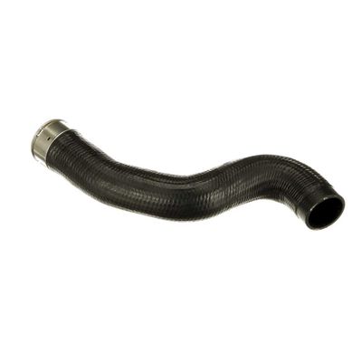 FURTUN EAR SUPRAALIMENTARE GATES 091624 38