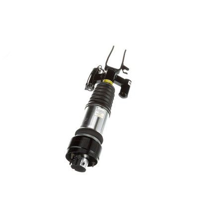 LUFTFEDERBEIN Arnott AS3001 71