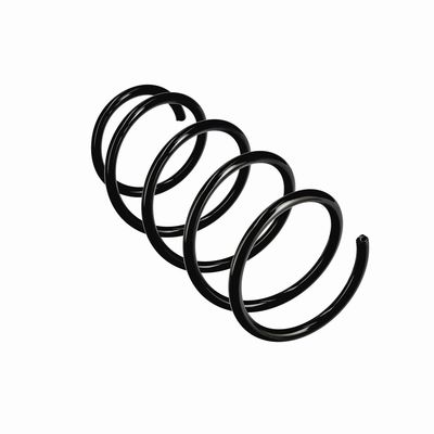 ARC SPIRAL EIBACH R11070 23