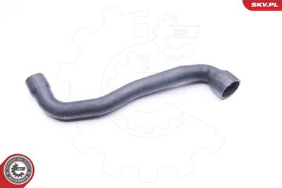 FURTUN EAR SUPRAALIMENTARE