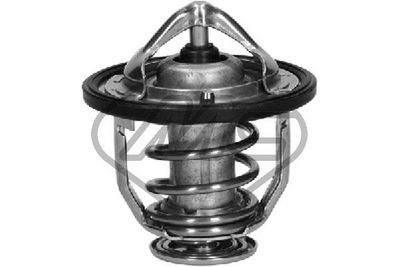 TERMOSTAT LICHID RACIRE