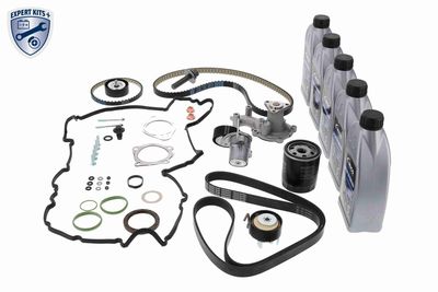 SET CUREA DE DISTRIBUTIE VAICO V253148 7