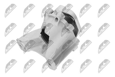 SUPORT MOTOR NTY ZPSHD123 21