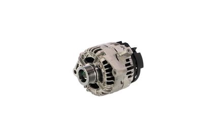 GENERATOR / ALTERNATOR REMANTE 011003000006R 19