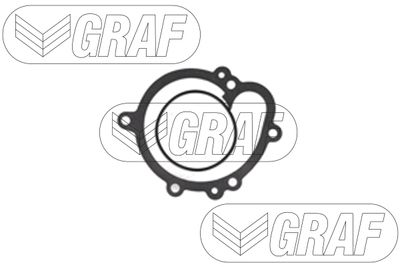 POMPă DE APă RăCIRE MOTOR GRAF PA1456 1