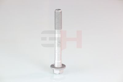 SURUB CAPAT DE AX GH GH391580 17