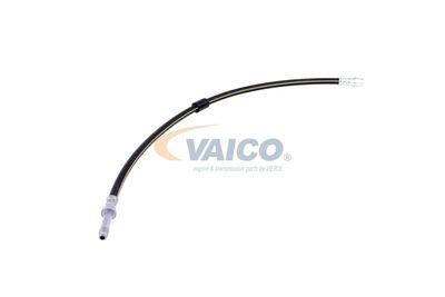 FURTUN FRANA VAICO V300547 53