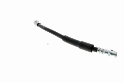 FURTUN FRANA VAICO V104119 6