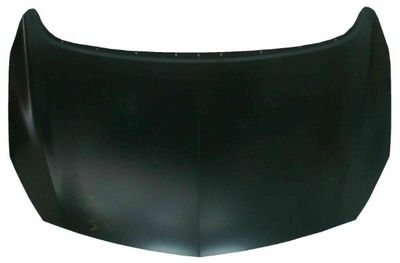Capota motor MTR 10579147