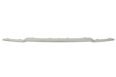 Bumper valance