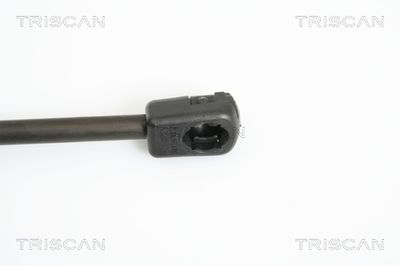 AMORTIZOR CAPOTA TRISCAN 871011115 2
