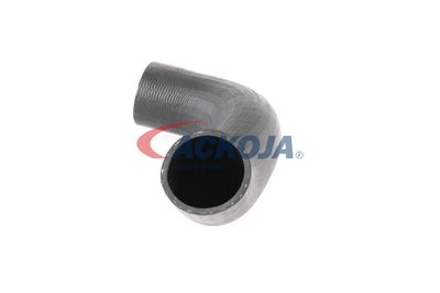 FURTUN EAR SUPRAALIMENTARE ACKOJA A380298 22