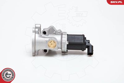 EGR Valve 14SKV031