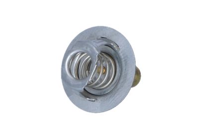 TERMOSTAT LICHID RACIRE NRF 725141 39