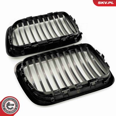 GRILA RADIATOR ESEN SKV 66SKV049 4