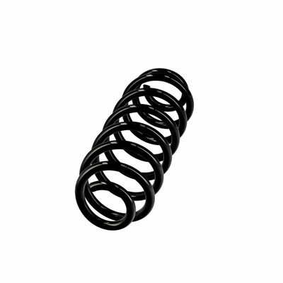 ARC SPIRAL EIBACH R10319 2