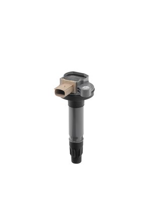 Катушка зажигания BorgWarner (BERU) ZSE247 для FORD USA EXPLORER