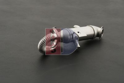 KüHLER ABGASRüCKFüHRUNG AKS DASIS 095043N 12