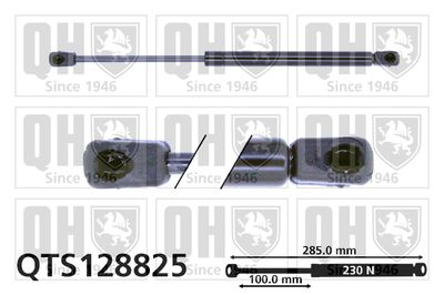 Газовая пружина, крышка багажник QUINTON HAZELL QTS128825 для FORD ESCORT