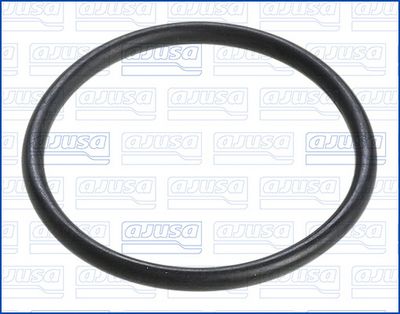 GARNITURA POMPA DE APA