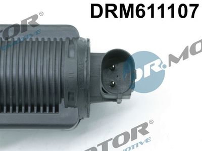 EGR Valve DRM611107