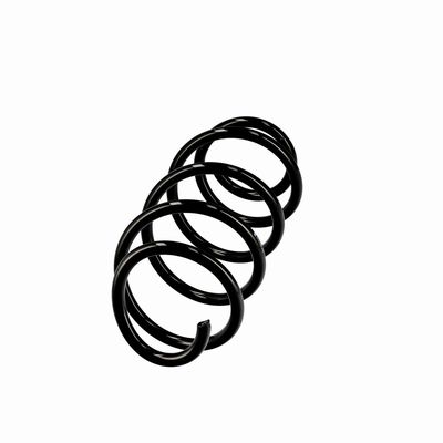ARC SPIRAL EIBACH R10193 2