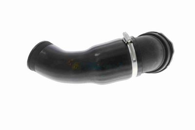 FURTUN EAR SUPRAALIMENTARE VAICO V202969 5