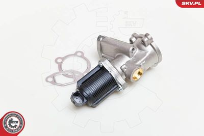 EGR Valve 14SKV039