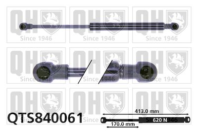 Газовая пружина, крышка багажник QUINTON HAZELL QTS840061 для RENAULT 25