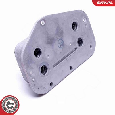 RADIATOR ULEI ULEI MOTOR ESEN SKV 31SKV231 2