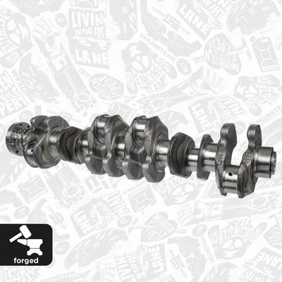 ARBORE COTIT ET ENGINETEAM HK0212 2