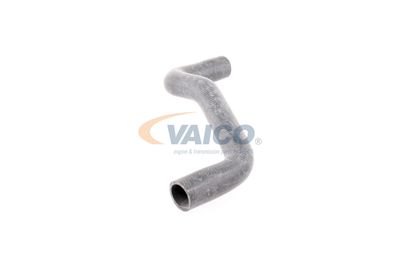 KüHLERSCHLAUCH VAICO V460911 47