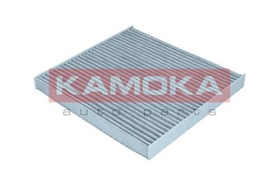 Filter, cabin air F515501